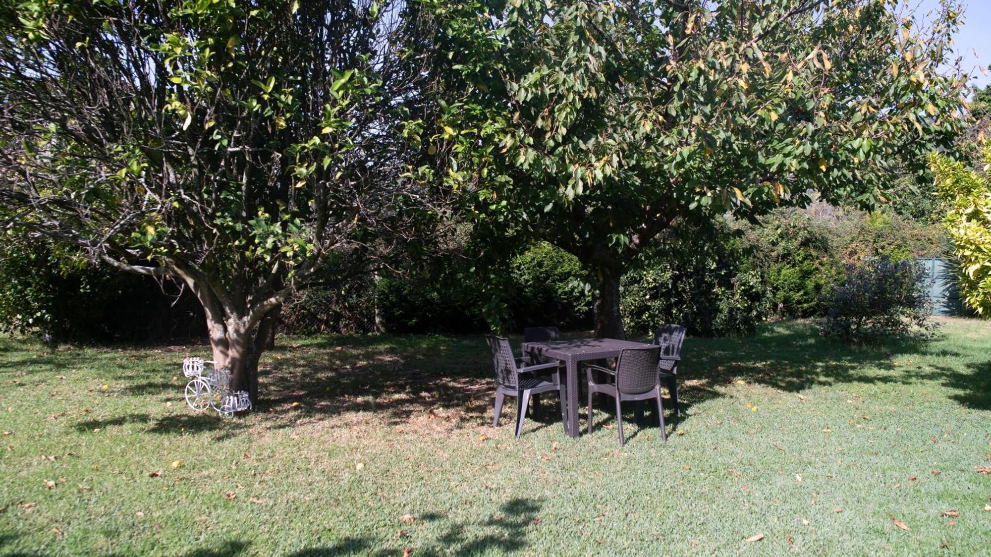 Moaña Apartamentos Rias Baixas מראה חיצוני תמונה